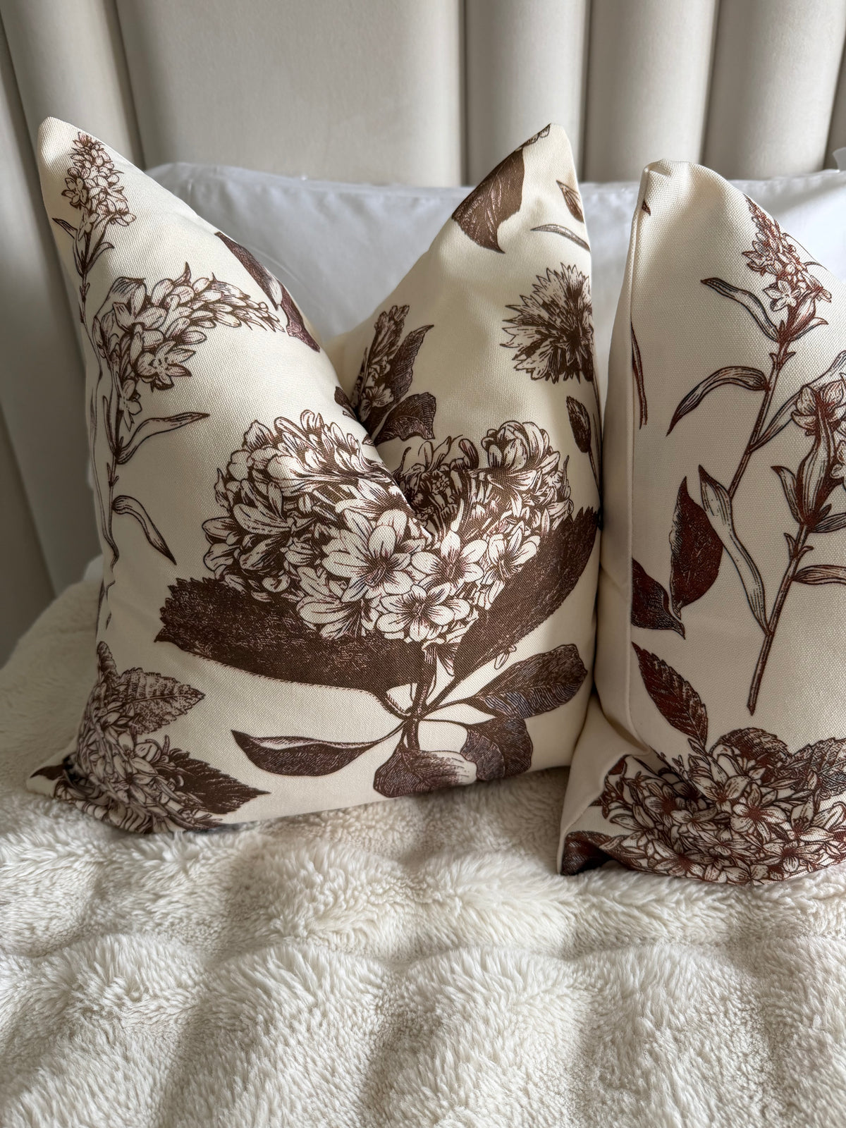 Hydrangea Coffee & Cream